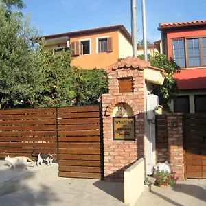 Arabas Salonic